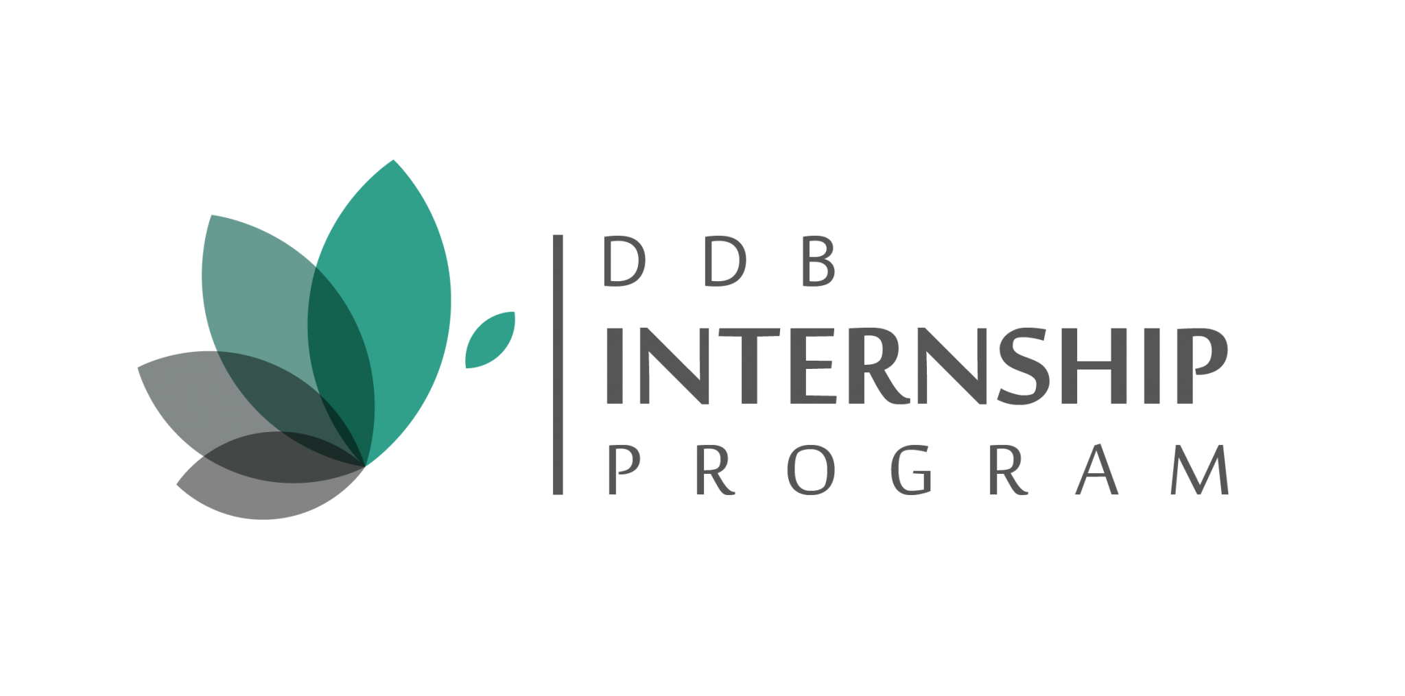 Internship DDB Telkom